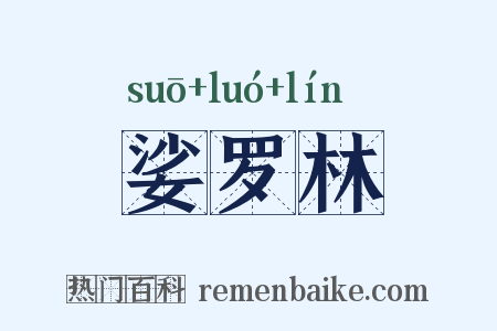 娑罗林是什么意思的图片